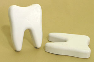 牙齒造型玩具